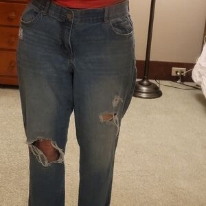Terra & Sky Distressed Blue Boyfriend Jeans